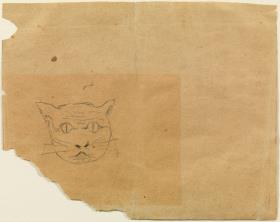 Cabeza de gato
