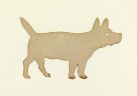 Perro