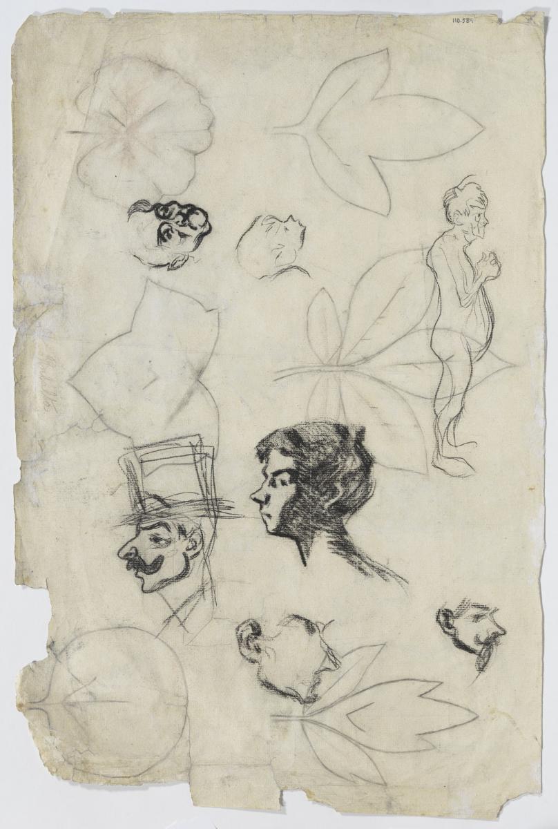 Dibuixos de fulles, i croquis superposats