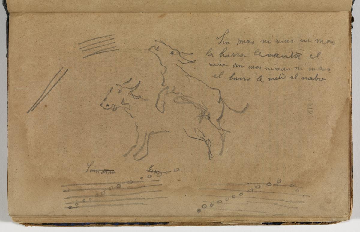 Borriquillo y borriquilla