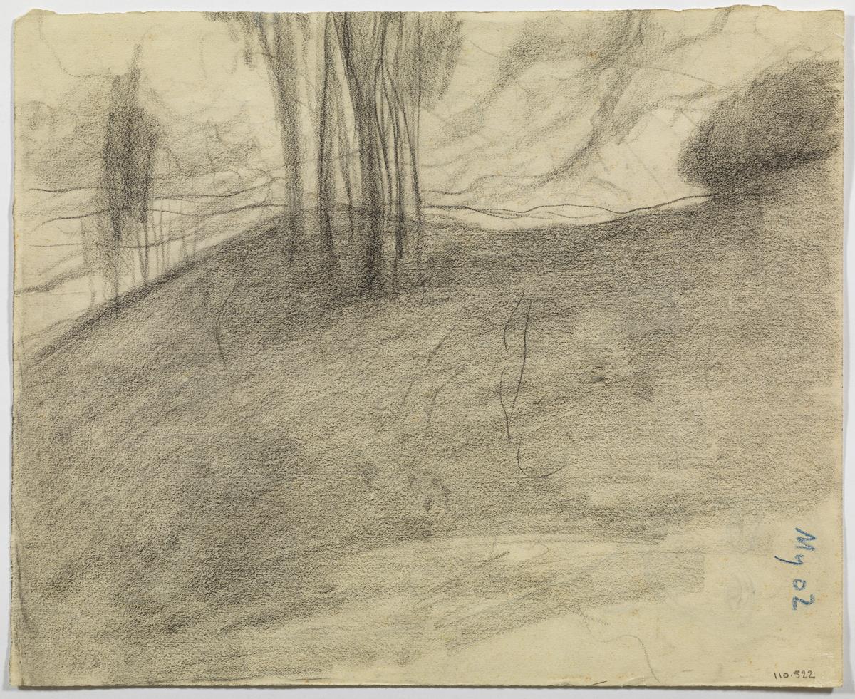 Paisatge muntanyenc amb grup d'arbres