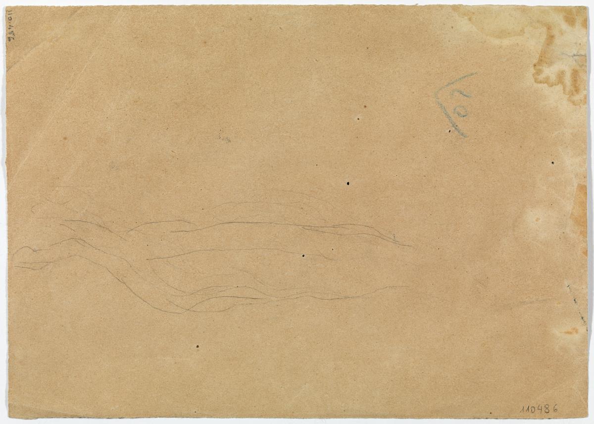 Trazos para el croquis de un caballo