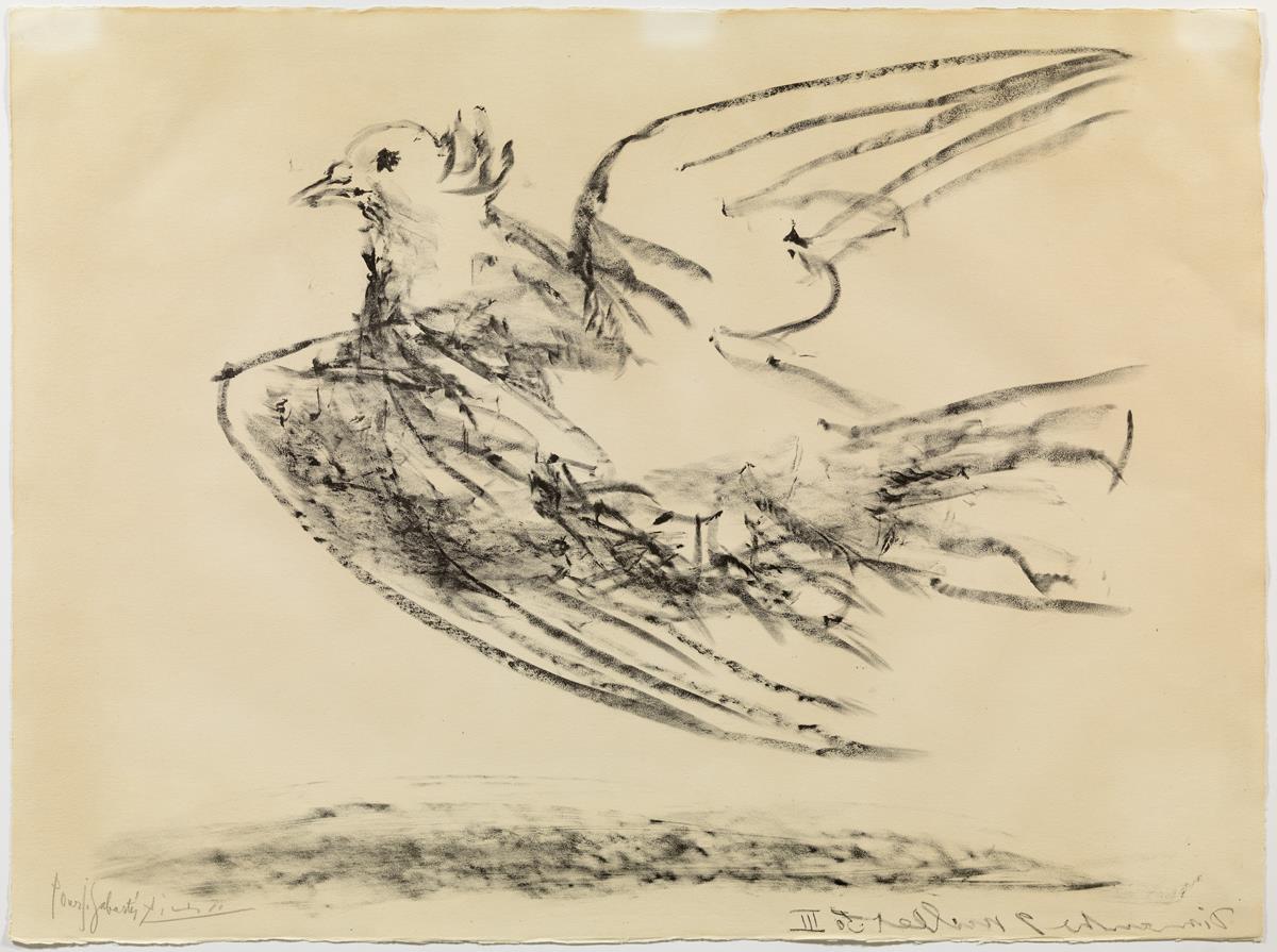 The Flight of the Dove