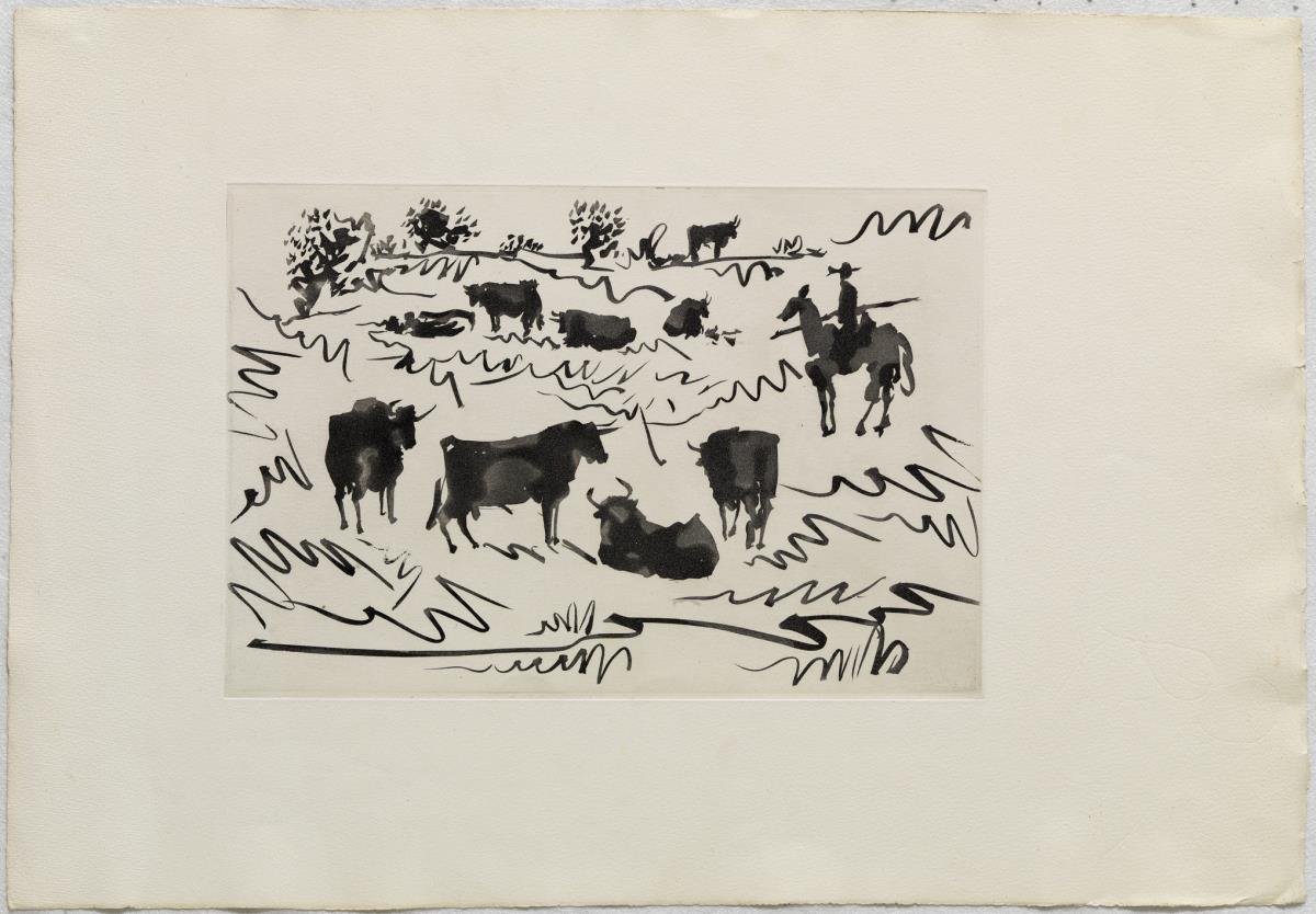 Bulls in the Field