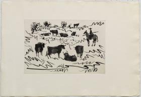 Bulls in the Field