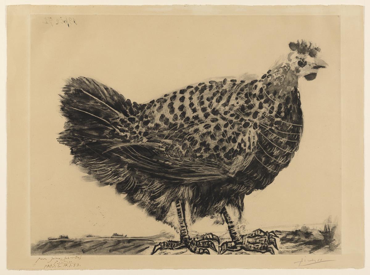 La gallina