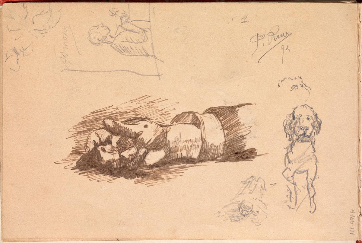 Estudio de mano derecha, caricatura de Antonio Amorós y perro