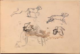 Various Sketches