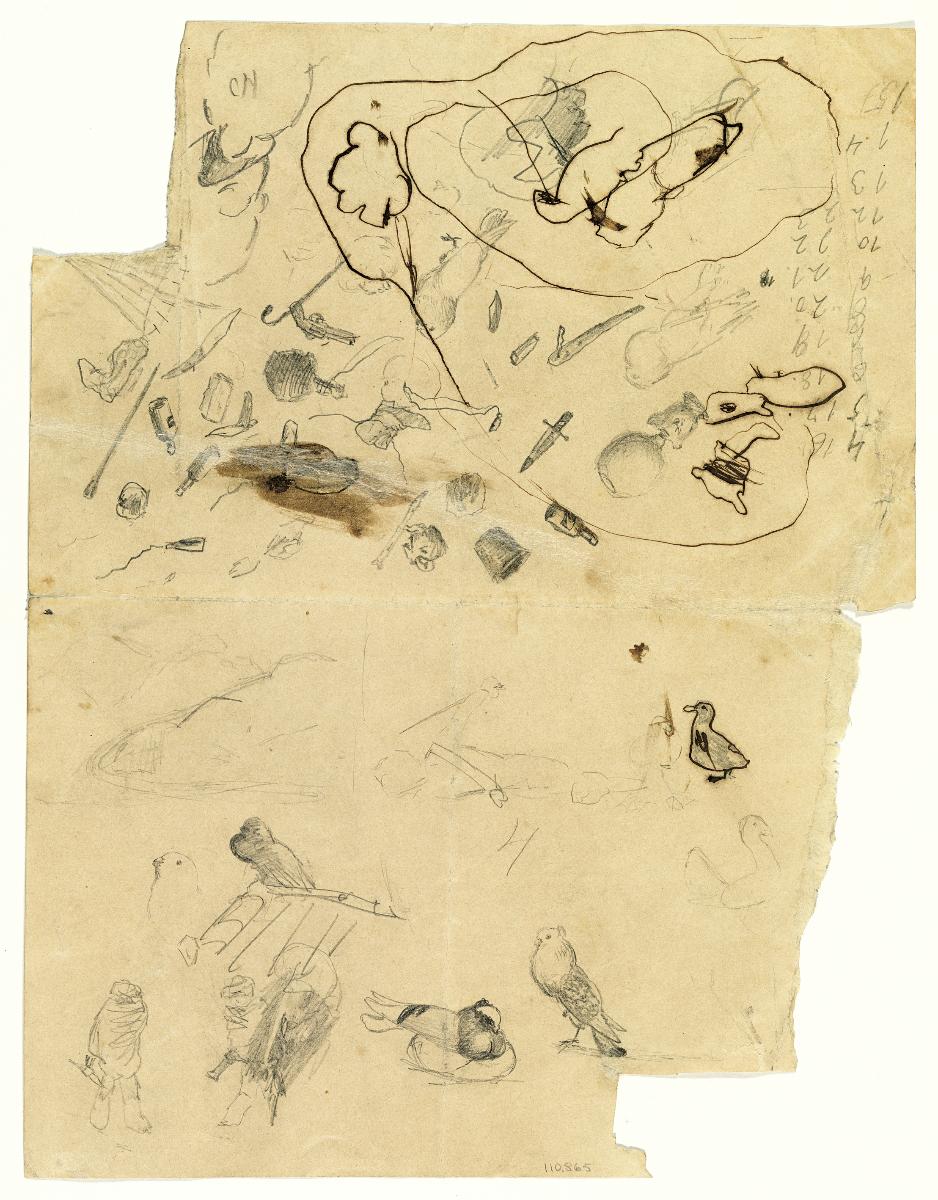 Pigeons and Other Drawings