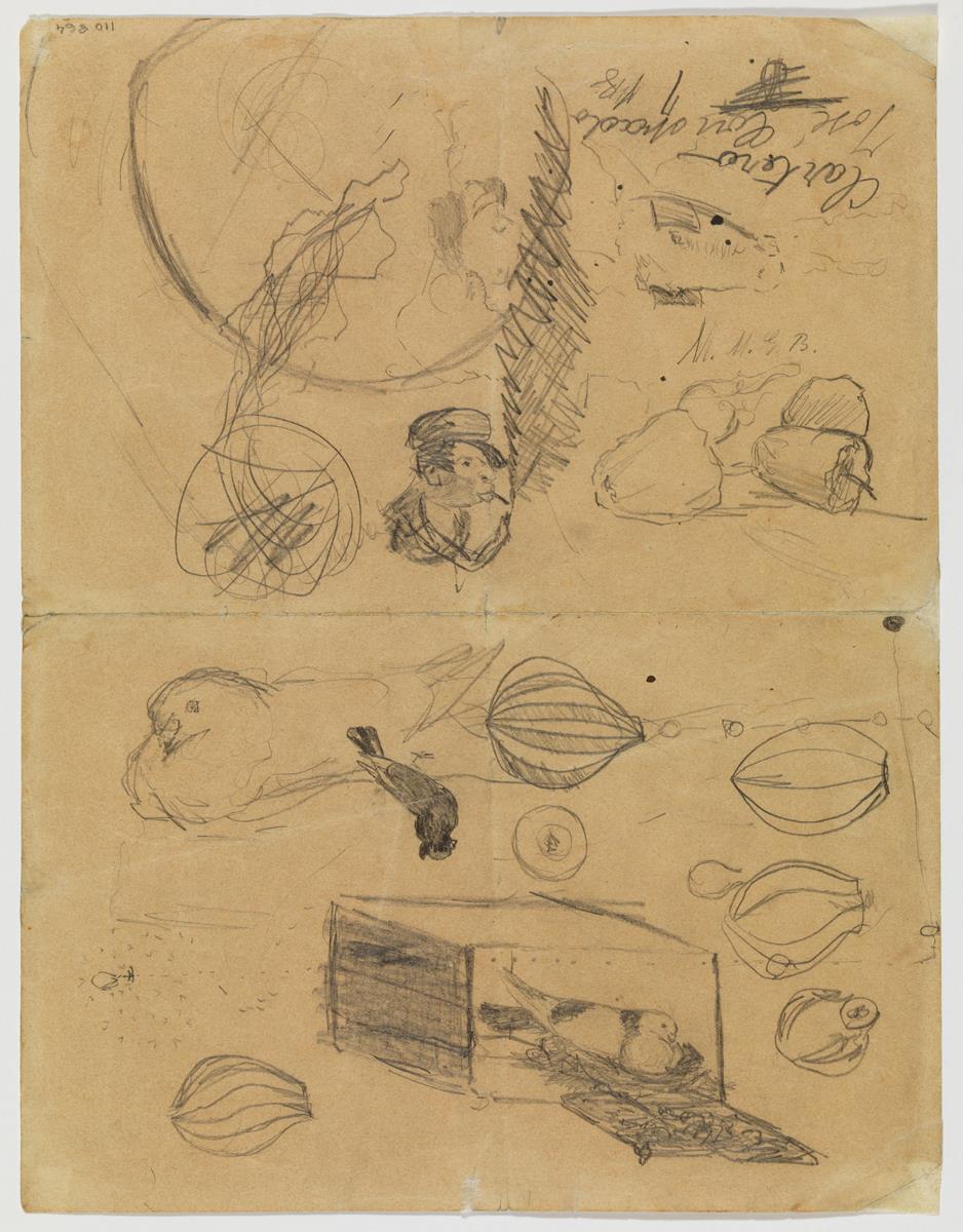 Palomas y otros dibujos
