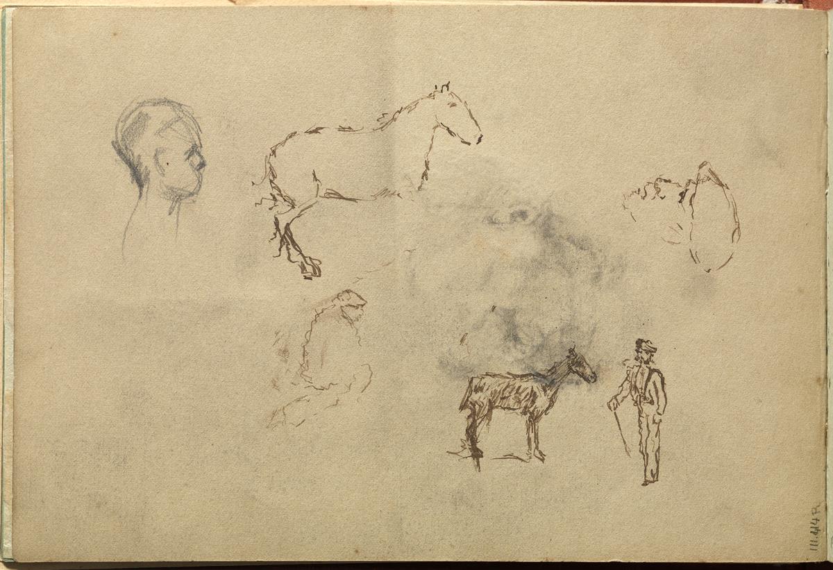 Various Sketches