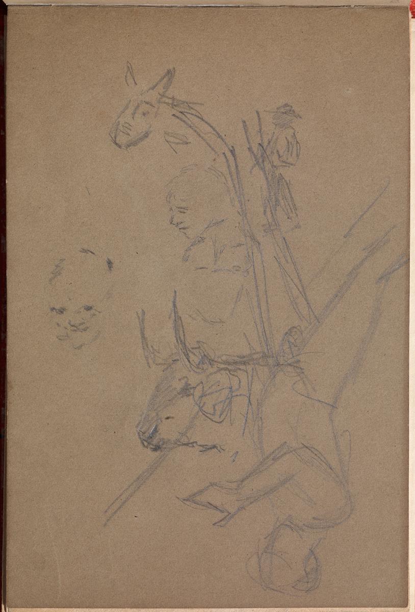 Sketches