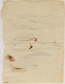 Anotaciones manuscritas