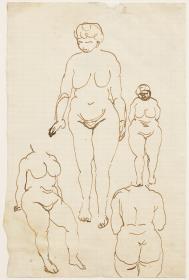 Estudios de desnudo femenino