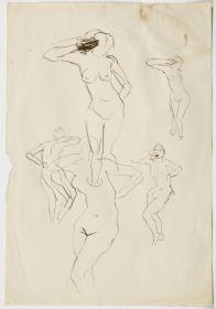 Studies of a Female Nude