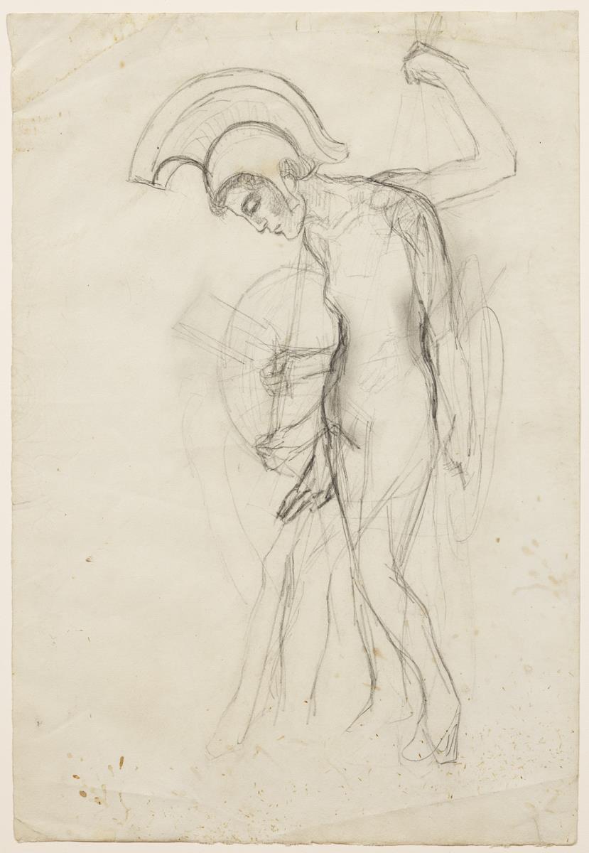 Amazona amb rodella i cimera