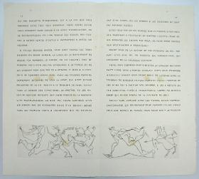 Caballeros y mujeres