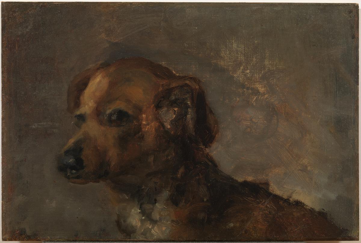 Cliper, el gos de l'artista