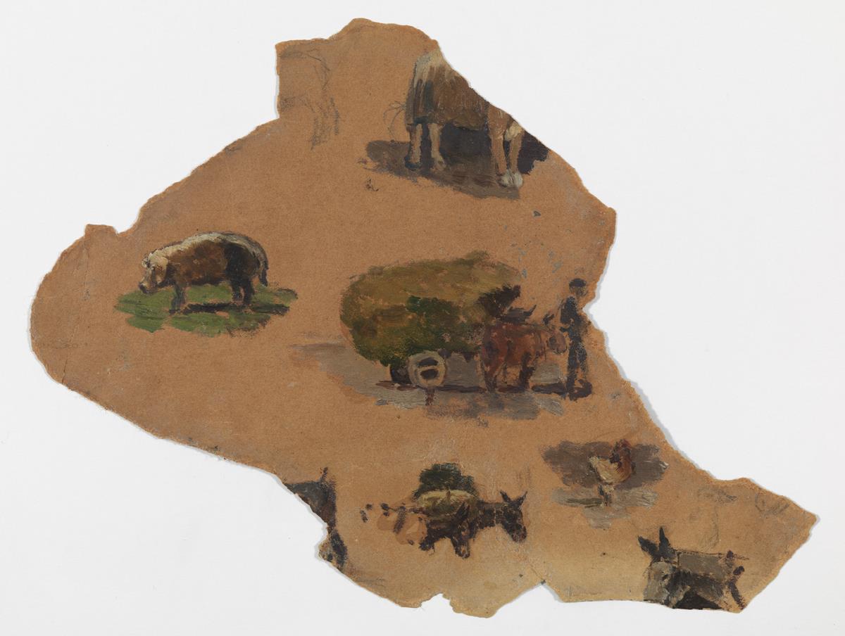 Studies of Rural Life