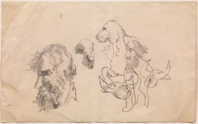 Croquis diversos