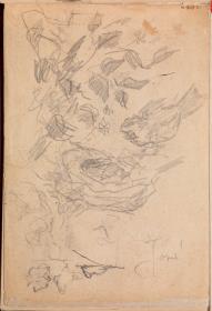 Nest