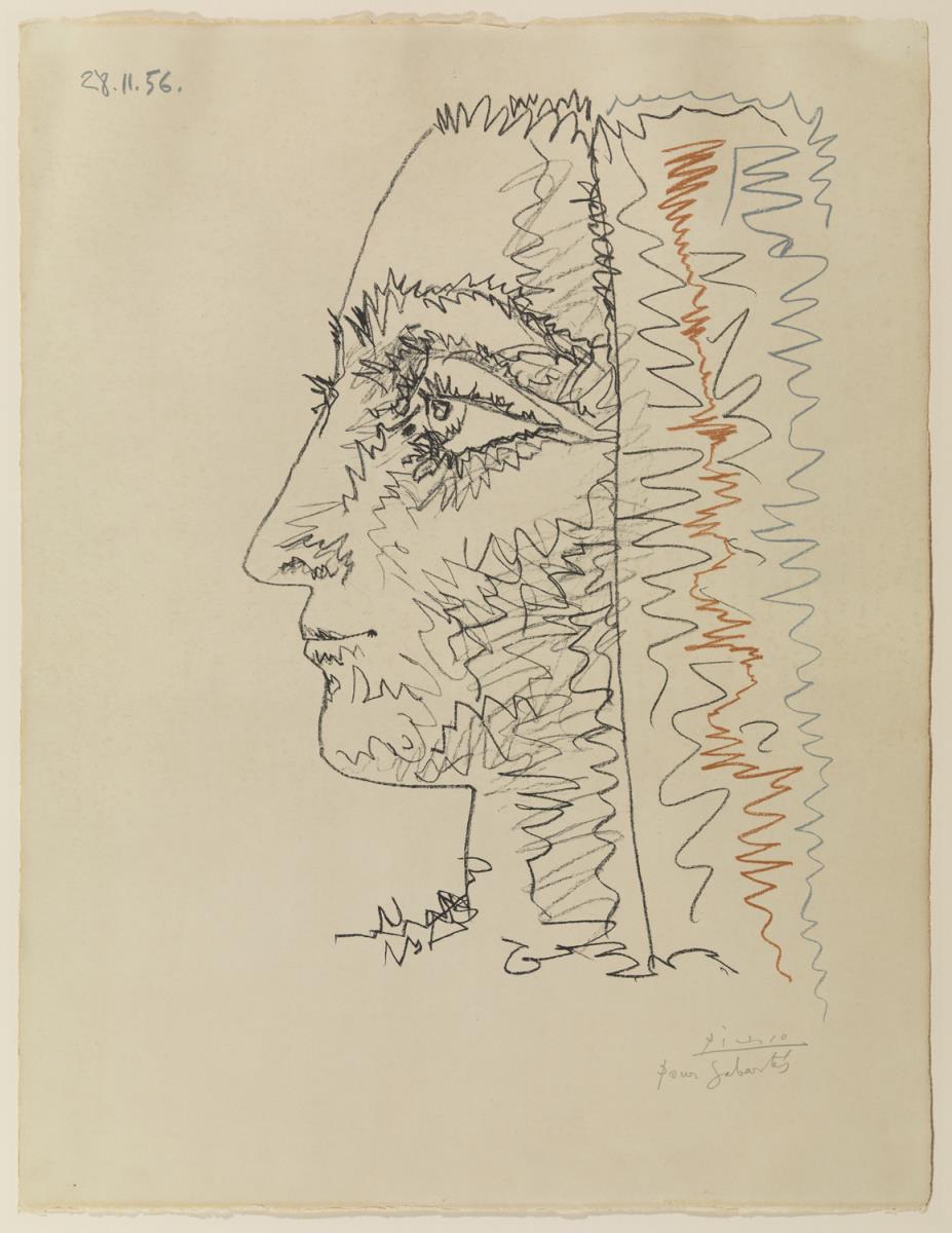 Perfil en tres colores