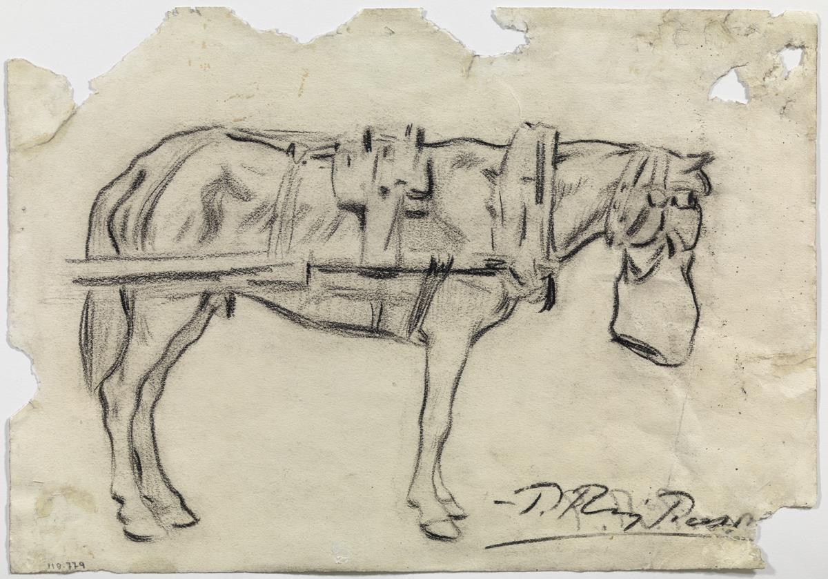 Caballo cominedo
