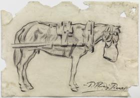 Caballo cominedo
