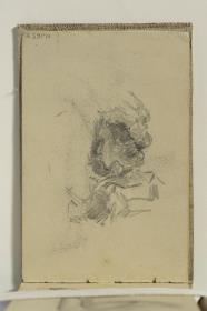 Bust of a Woman