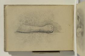 Study of an Arm