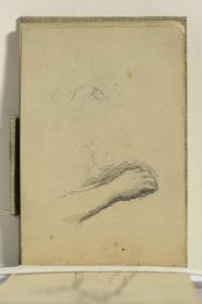 Study of an Arm