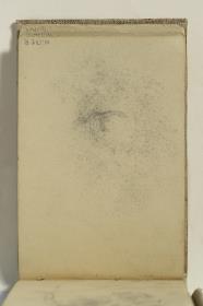 Head of a Woman