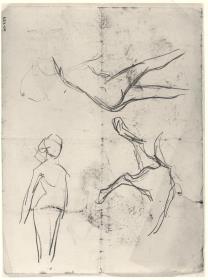 Croquis