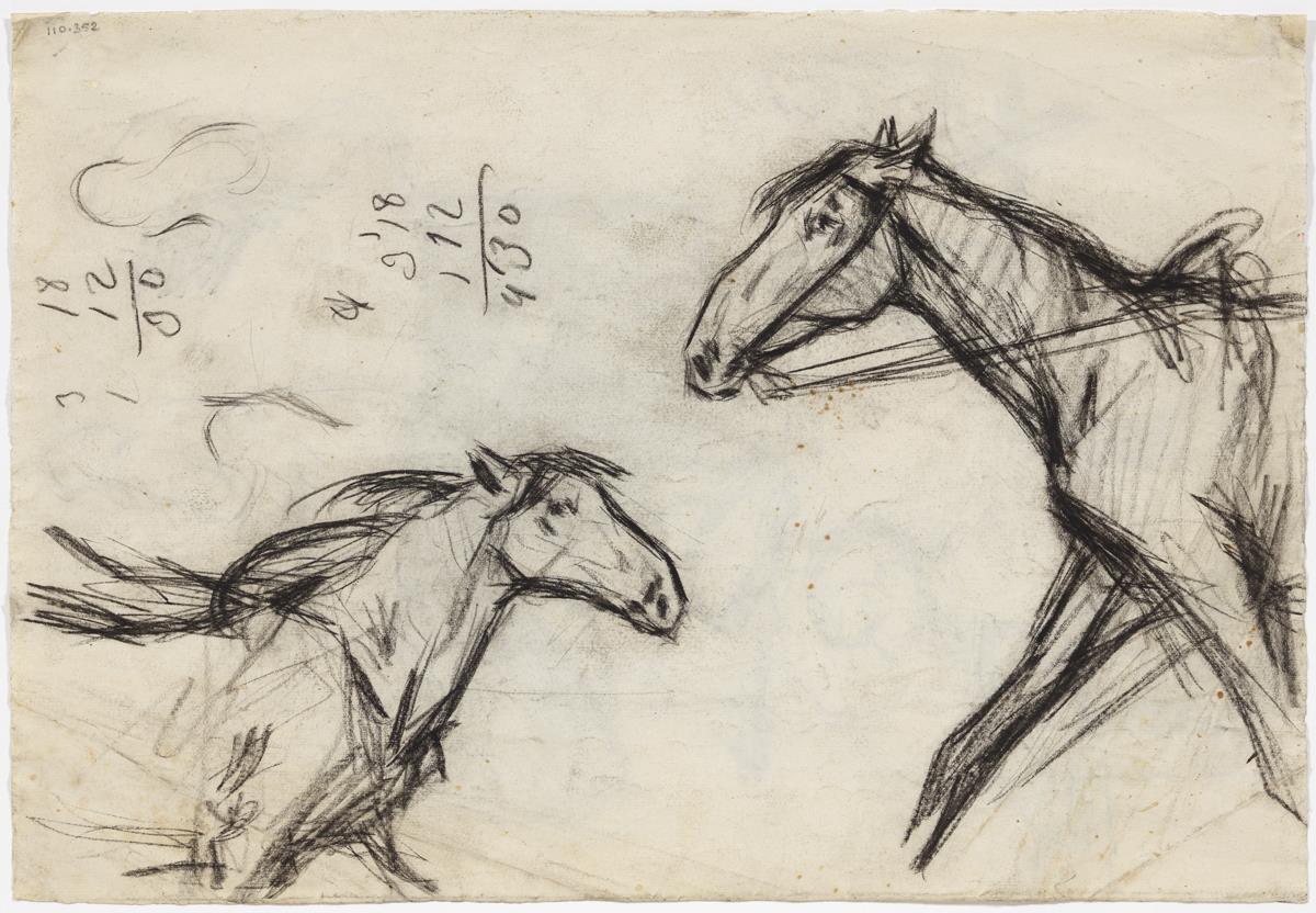 Estudio de caballos