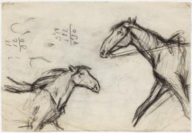 Estudio de caballos