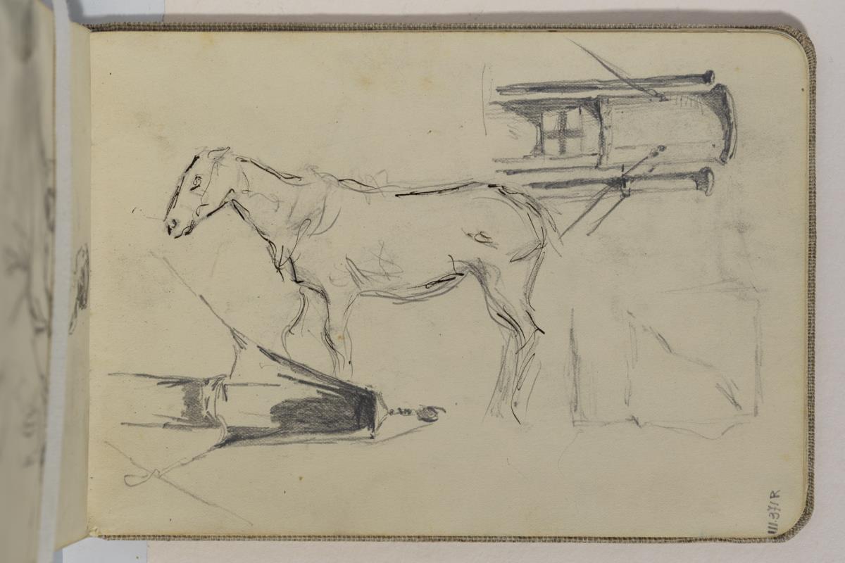 Estudio de caballo y chimenea