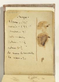 Estudios de veleta y anotaciones manuscritas
