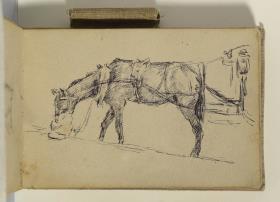 Caballo de tiro