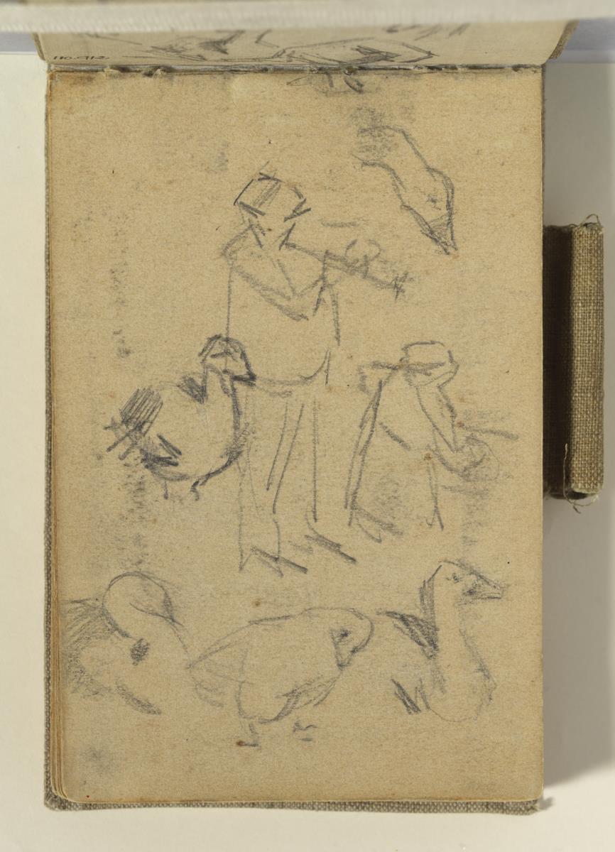 Violinista i estudis d‘ànec