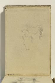 Head of a Woman