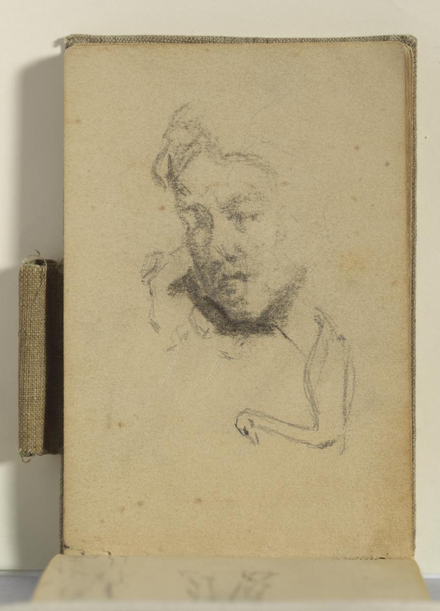 La mare de l'artista i cigne