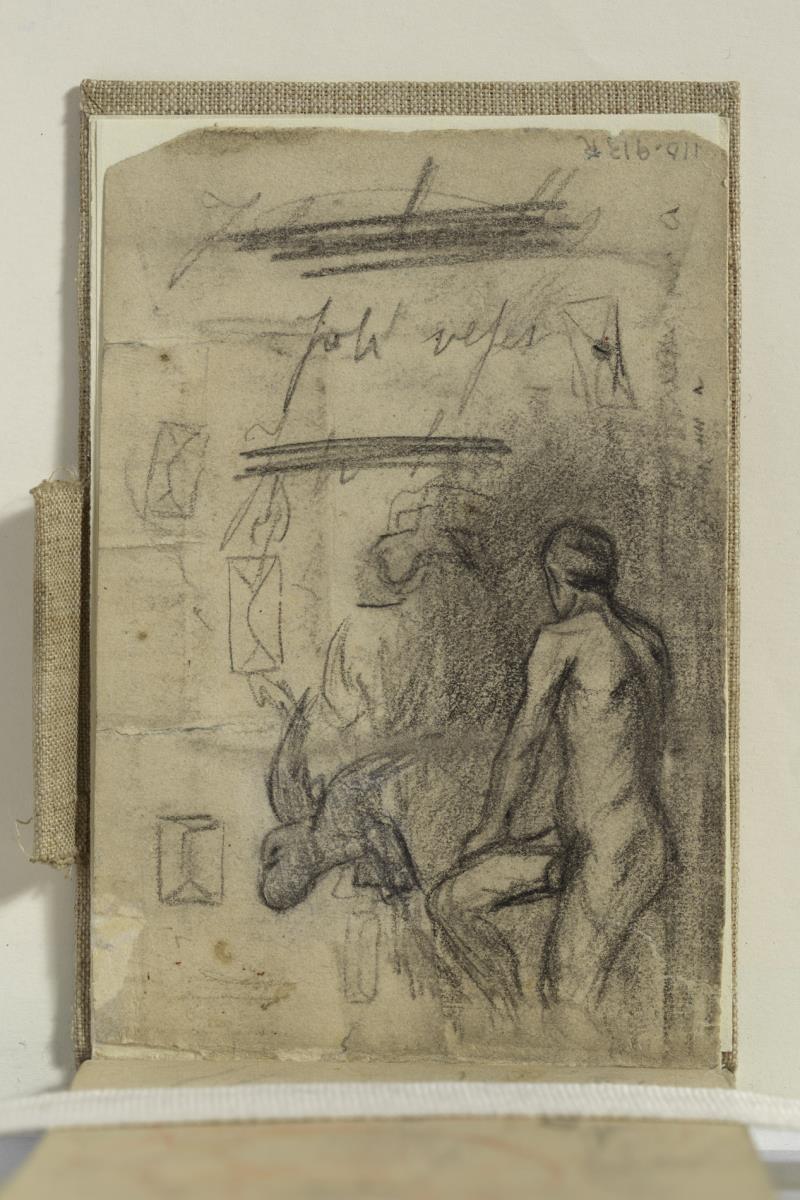 Academic Study and Messenger Pigeon