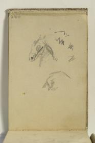 Head of a Horse