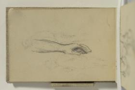 Study of an Arm