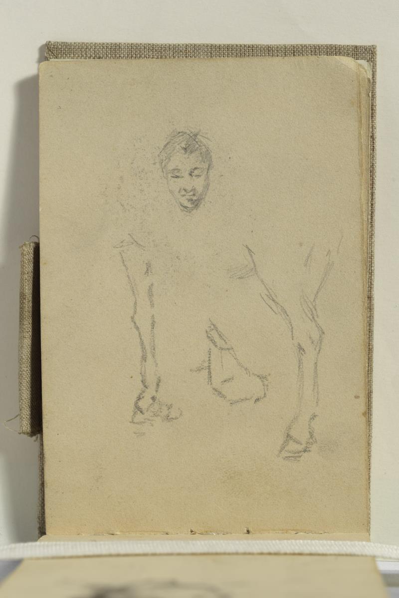 Estudio de caballo y cabeza de muchacha