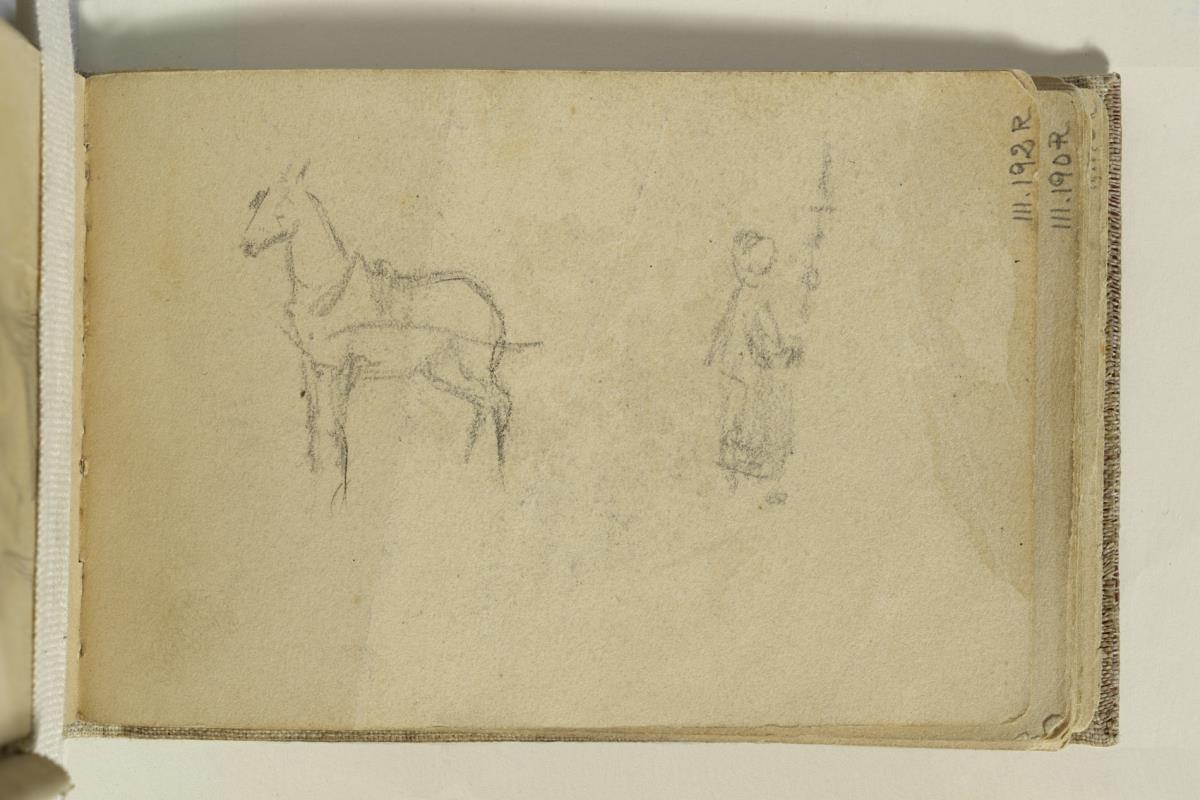 Draught Horse