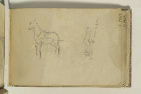 Draught Horse