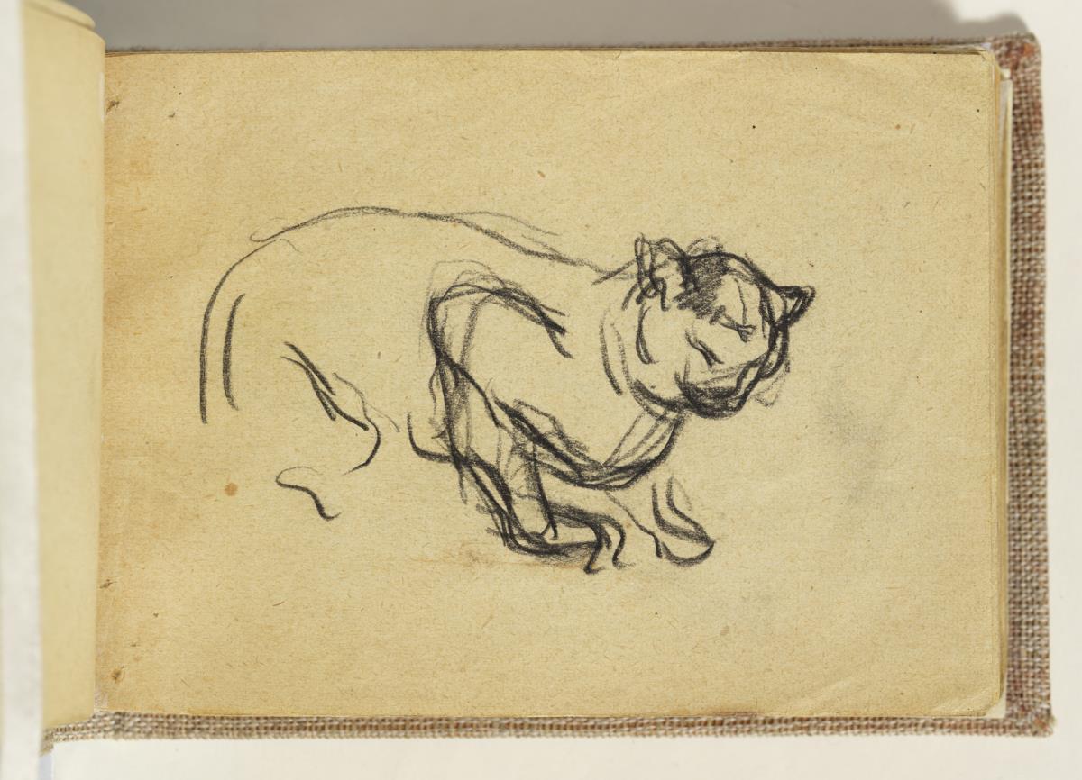 Gato