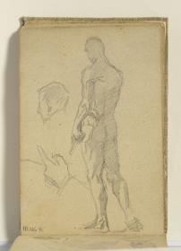 Academia, cabeza de hombre y estudio de mano