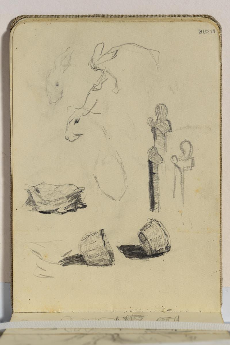 Estudio de cestas y conejos